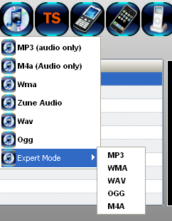 Format selection